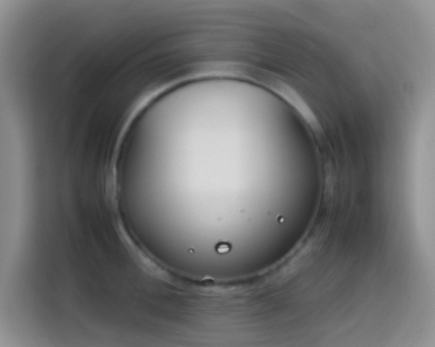 X0000113870996200910011109