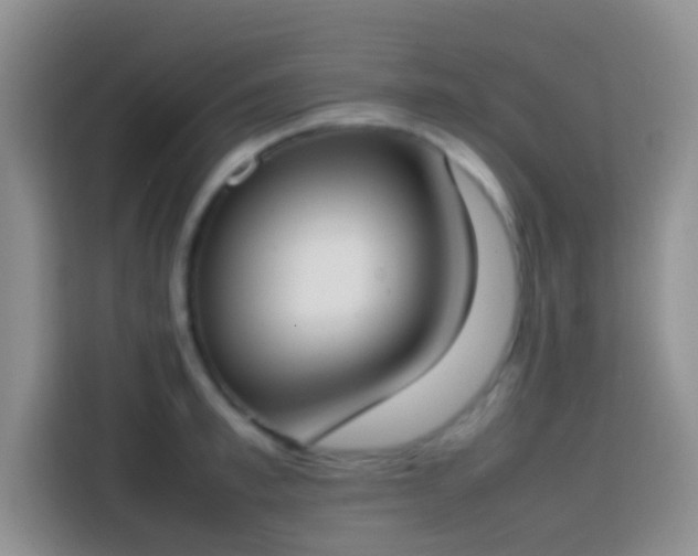 X0000113870997200910011109