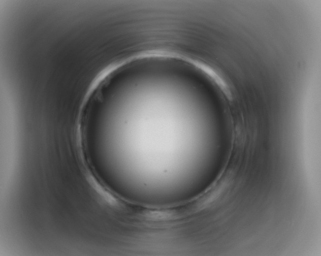 X0000113870998200910011108