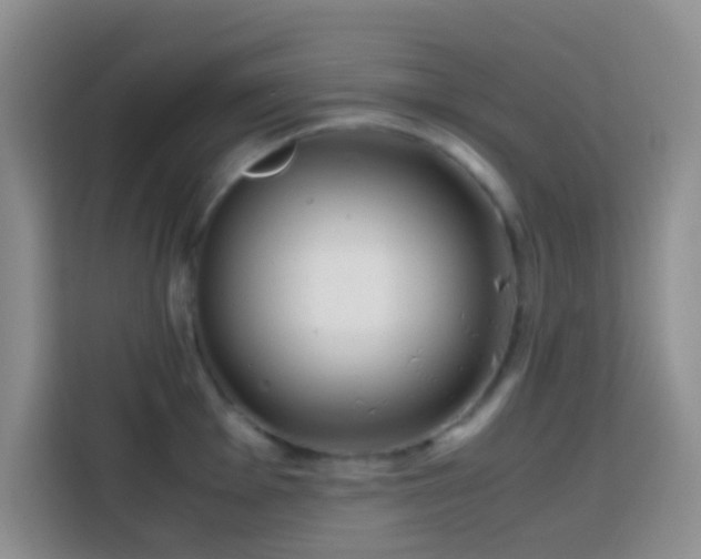 X0000113871001200910011108