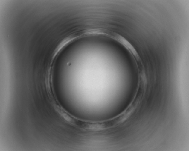 X0000113871002200910011108