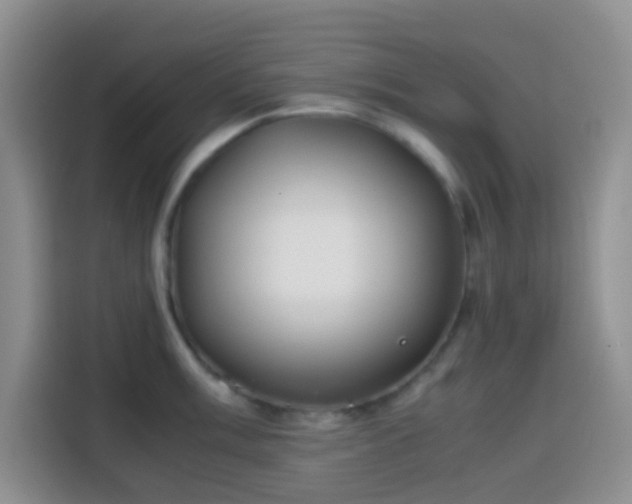 X0000113871003200910011108