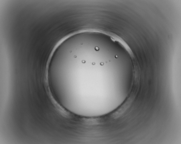 X0000113871004200910011108