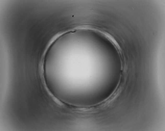 X0000113871005200910011108