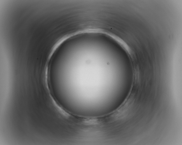 X0000113871006200910011108