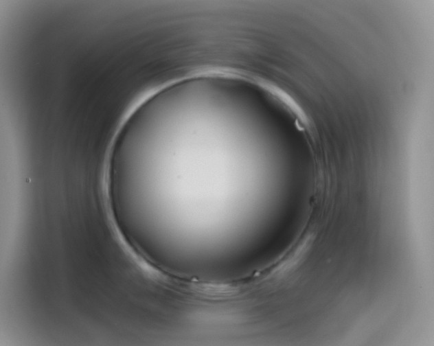 X0000113871007200910011108