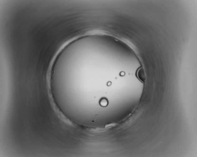 X0000113871008200910011108