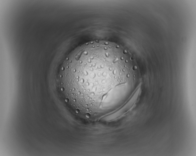 X0000113871009200910011108