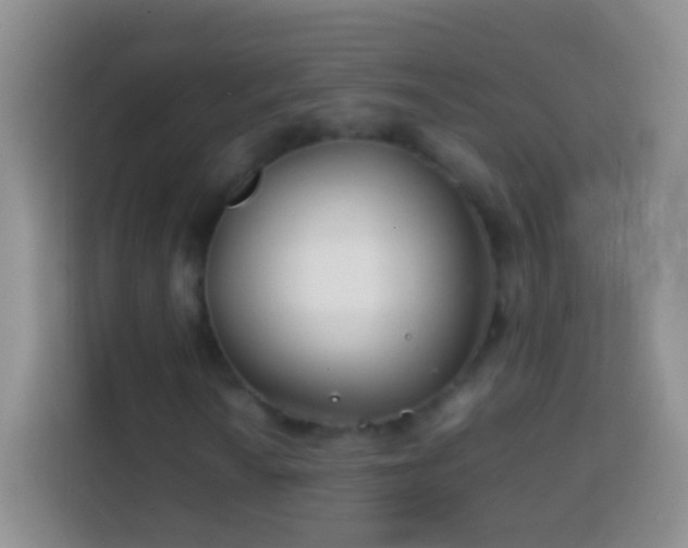 X0000113871010200910011108