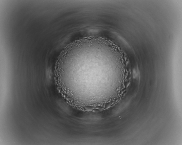 X0000113871011200910011108