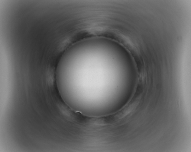 X0000113871012200910011108