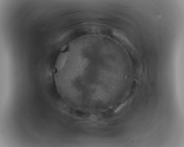 X0000113871013200910011108