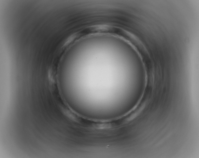 X0000113871017200910011108