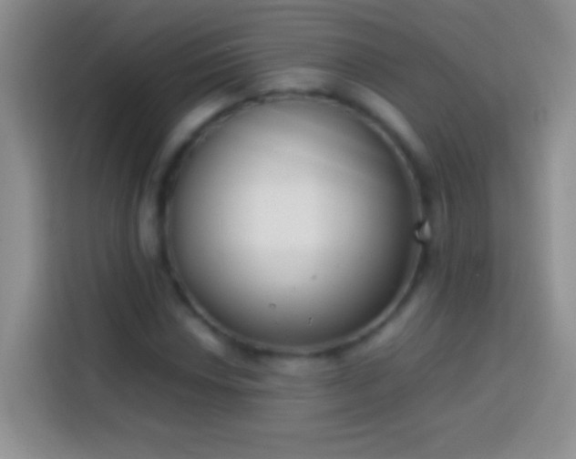 X0000113871018200910011108