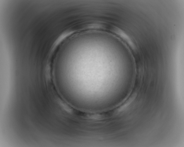 X0000113871019200910011108