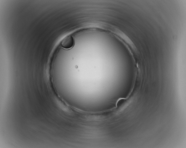 X0000113871020200910011108