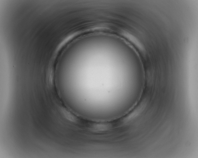 X0000113871021200910011108