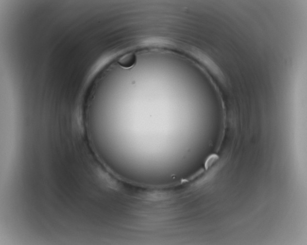 X0000113871022200910011108