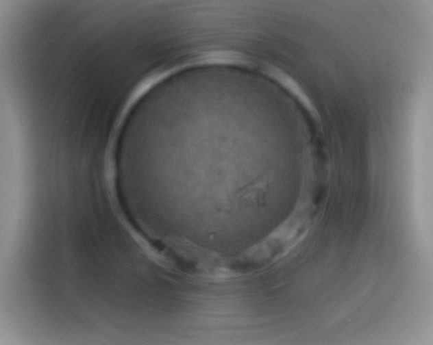 X0000113871024200910011108