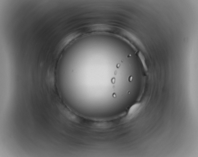 X0000113871025200910011108