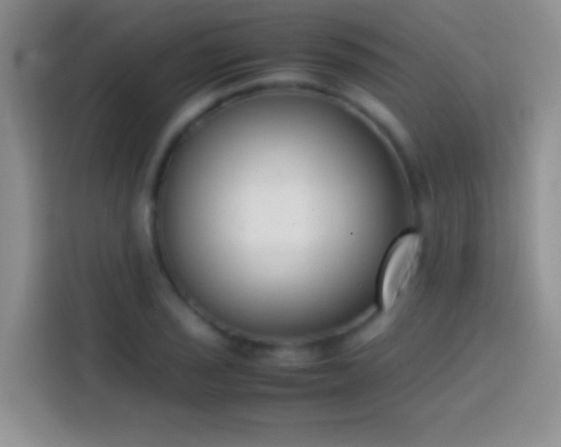 X0000113871029200910011108