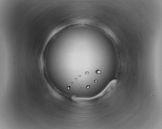 X0000113871032200910011108