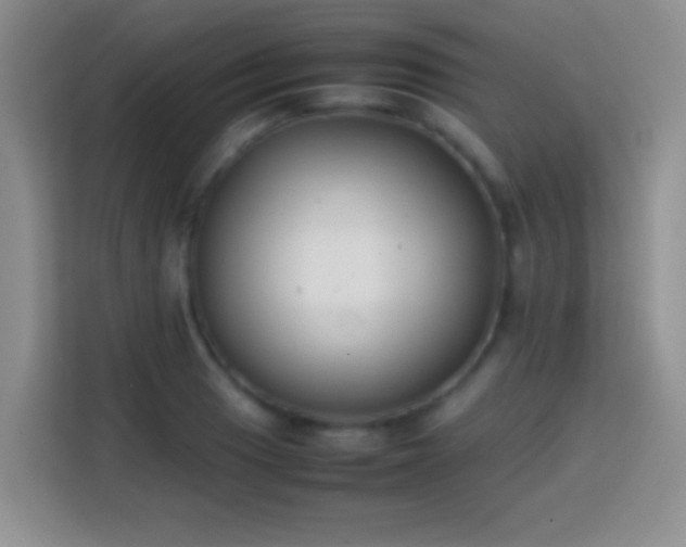 X0000113871033200910011108