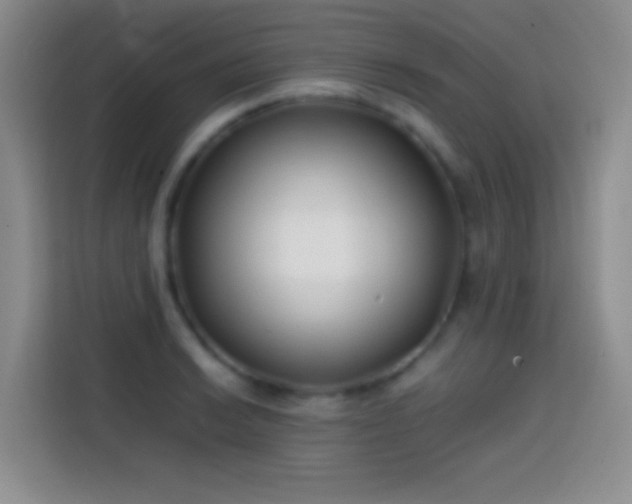 X0000113871038200910011108