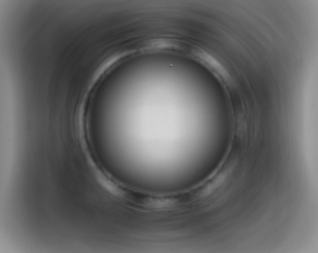 X0000113871039200910011108