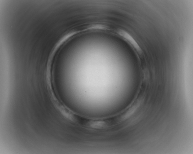 X0000113871043200910011108