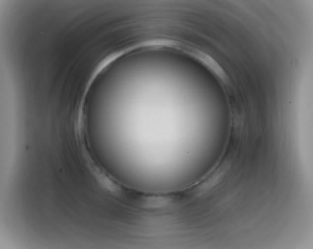 X0000113871044200910011108