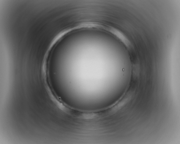 X0000113871046200910011108