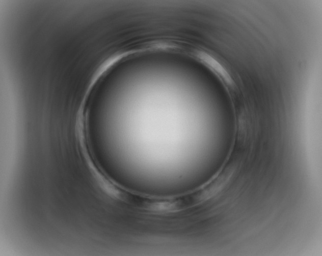 X0000113871047200910011108