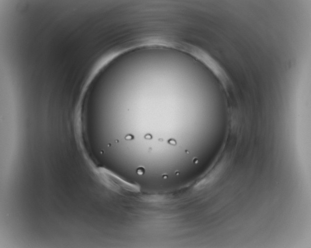 X0000113871048200910011108