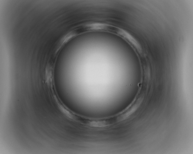 X0000113871049200910011108