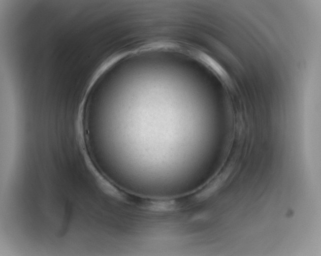 X0000113871055200910011108