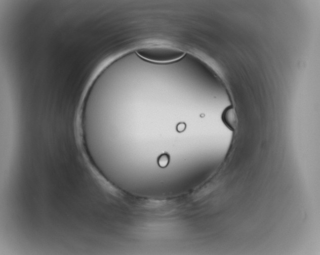 X0000113871056200910011108