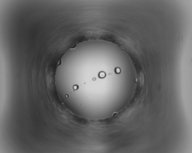 X0000113871059200910011108