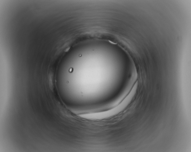 X0000113871060200910011108