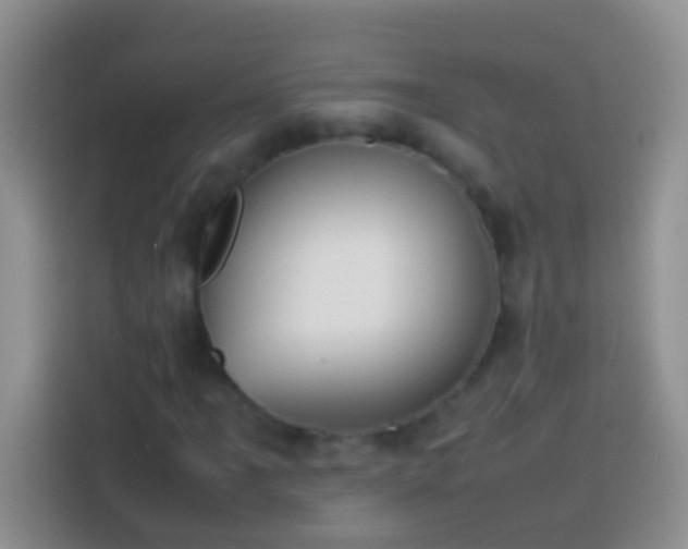 X0000113871061200910011108