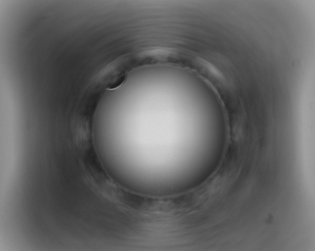 X0000113871062200910011108