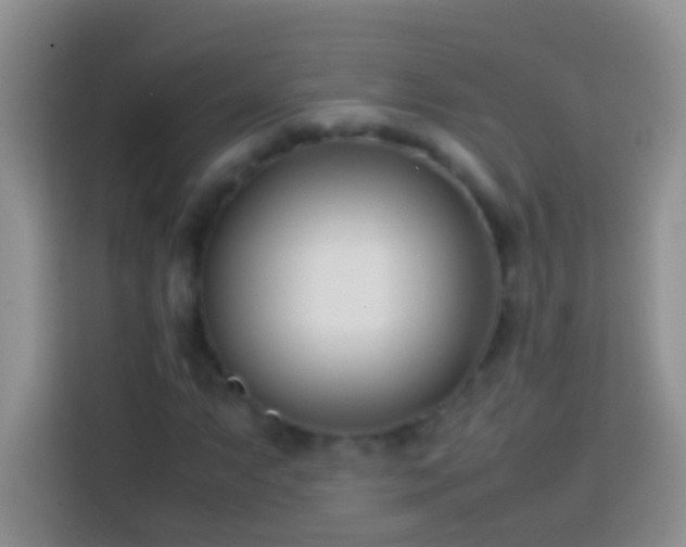 X0000113871063200910011108