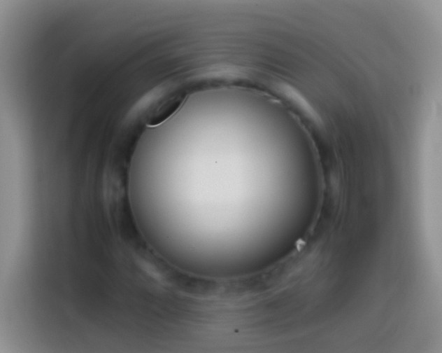 X0000113871064200910011108