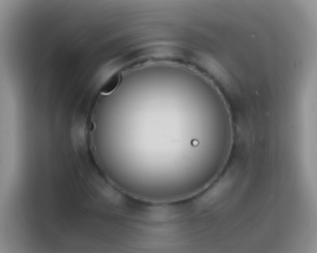 X0000113871065200910011108