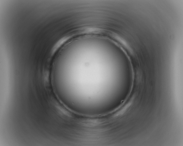 X0000113871066200910011108