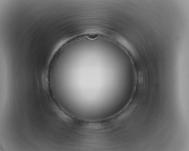 X0000113871068200910011108