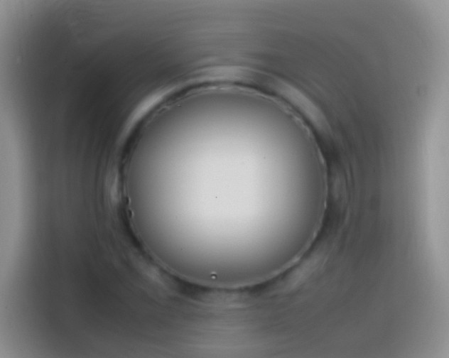 X0000113871069200910011108