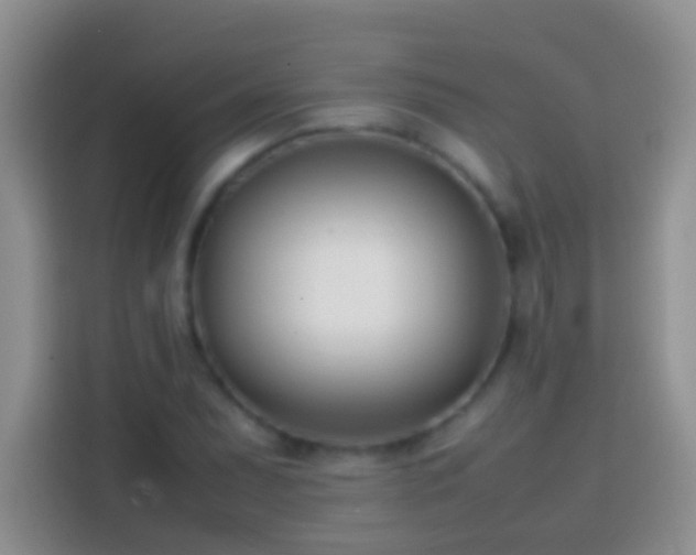 X0000113871071200910011108