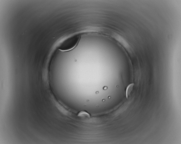 X0000113871072200910011108