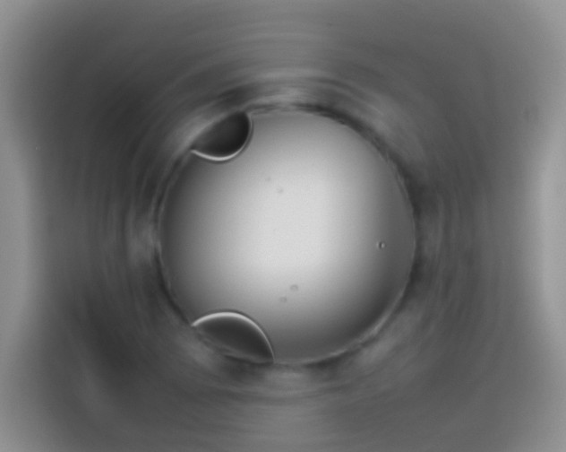 X0000113871073200910011108